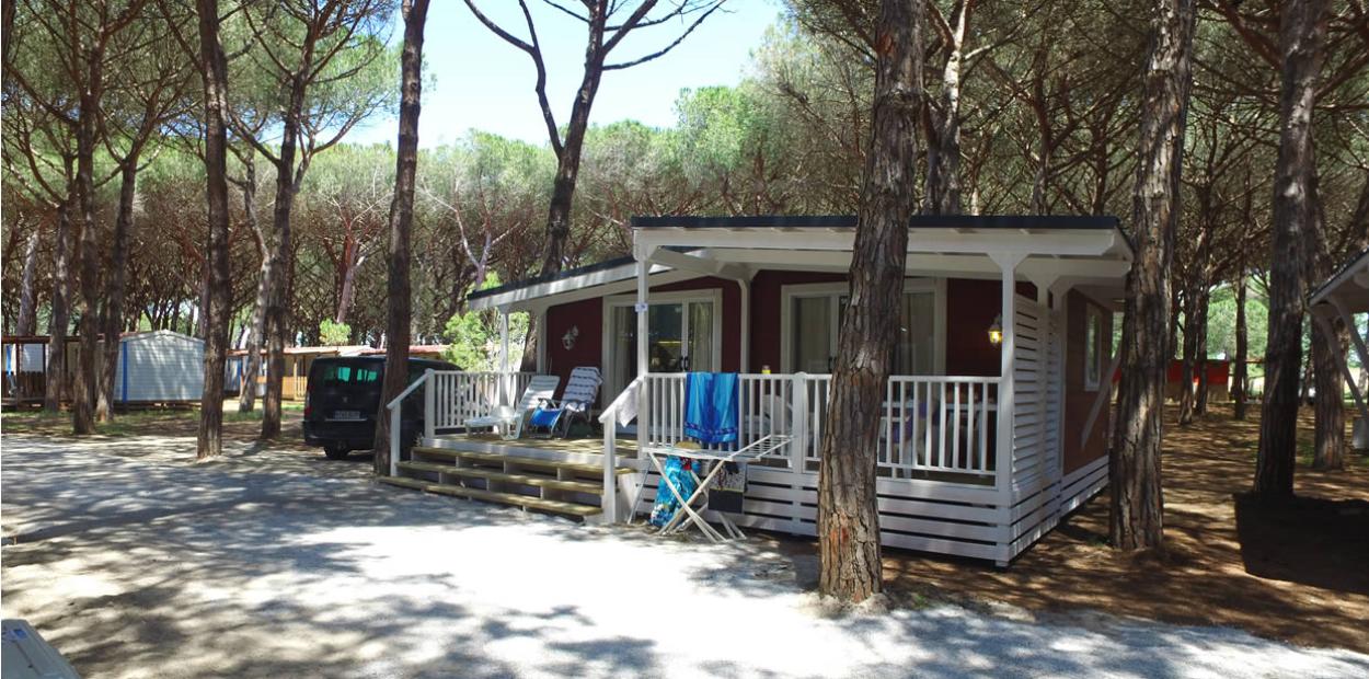 Bungalow immerso nella pineta con veranda e sedie a sdraio.