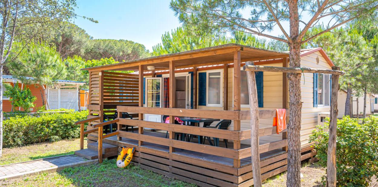 Bungalow in legno con veranda immerso nella natura, circondato da alberi e arbusti verdi.