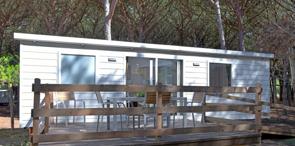 Bungalow in legno con veranda, immerso in una pineta.