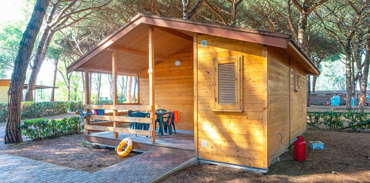 Bungalow in legno con veranda, immerso nella natura, circondato da alberi e vegetazione.