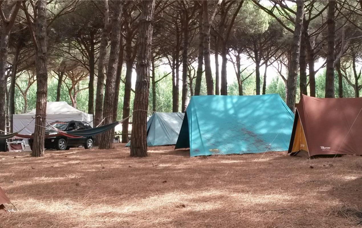 Campeggio tra gli alberi con tende colorate e amache legate ai tronchi.